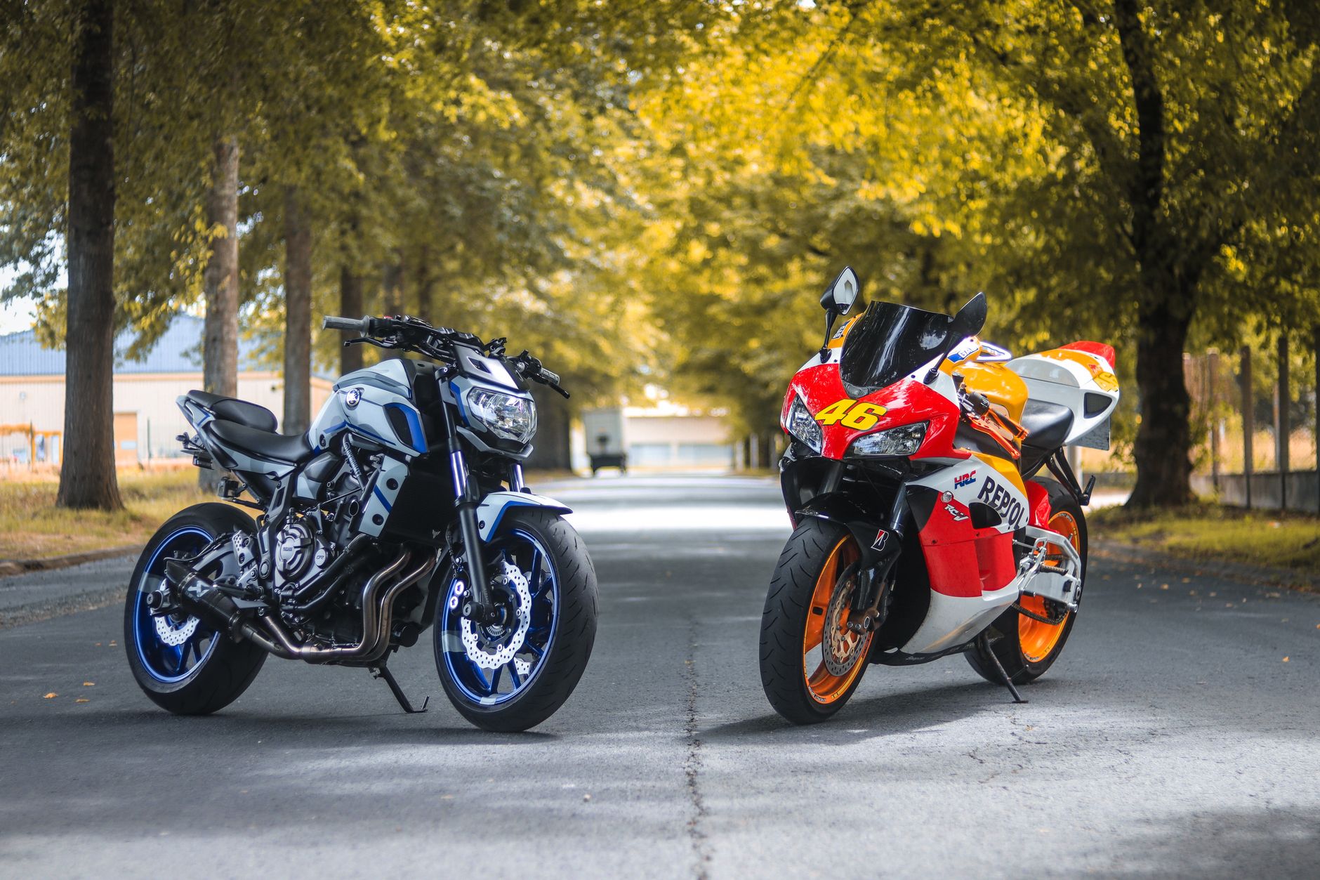 Two striking motorcycles on a scenic tree-lined road, showcasing vibrant colors and racing elements.