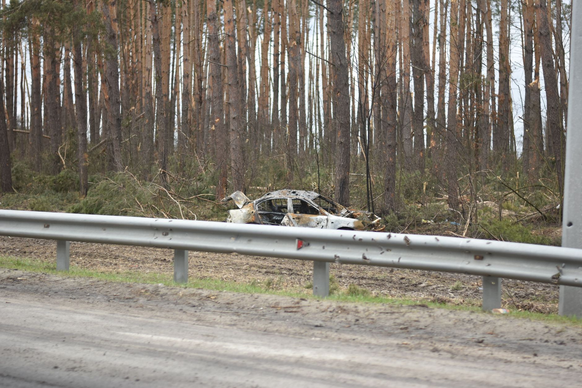 A burnt-out car wreck sits by a forest road, behind a metal barrier.