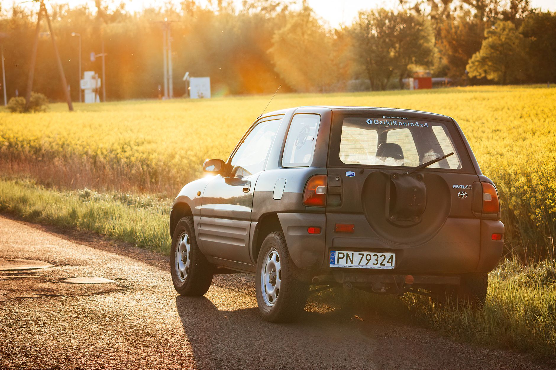 Toyota RAV4 parked by a sunny rural road with fields and trees in the background.