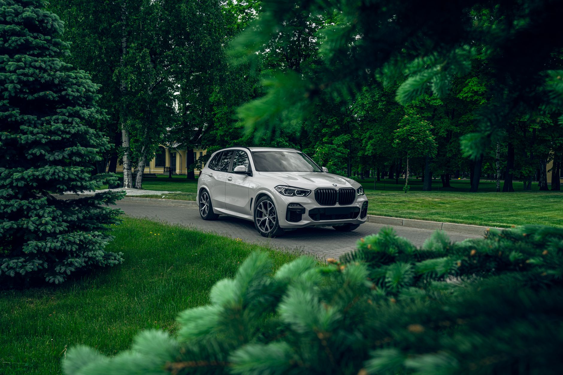 A sleek white SUV parked amidst lush green foliage, capturing a serene park environment.