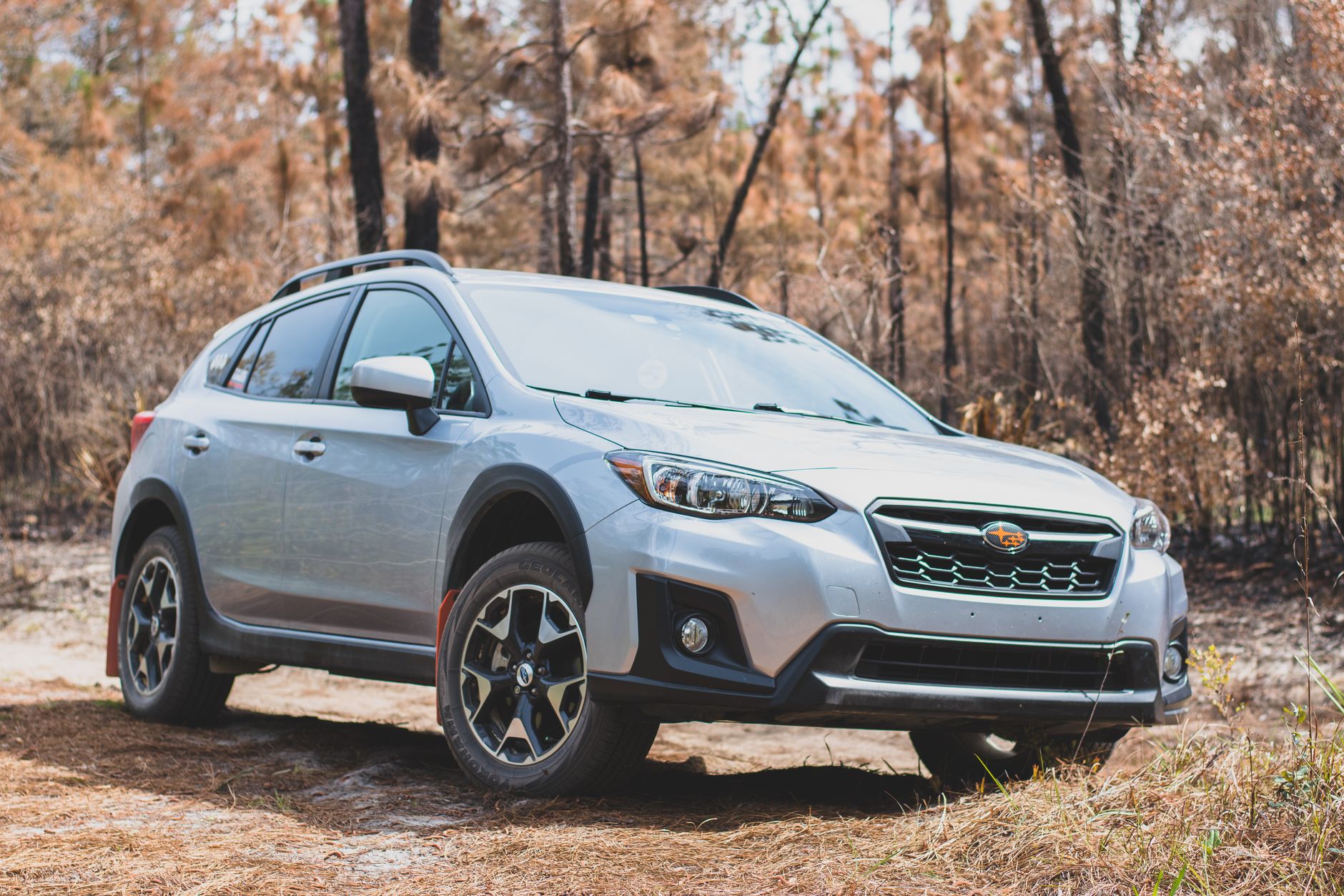 A stylish compact SUV set against a backdrop of autumn trees in a forest, showcasing safety and adventure.